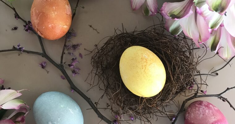 Plant-Dyed Easter Eggs