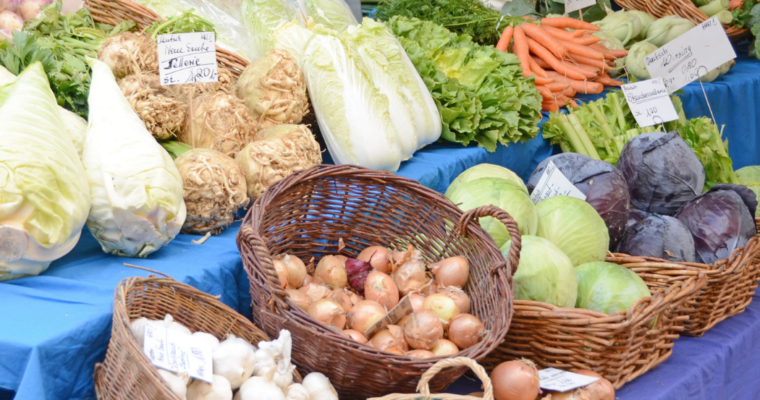 Supporting BIPOC Farmers in Minnesota